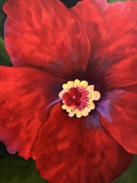 Red Glory Hibiscus - Sherry Hawkins