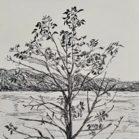 Susan Larimer - Waiting for the Tall Ships