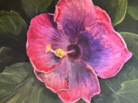 The Pinkest Hibiscus - Sherry Hawkins