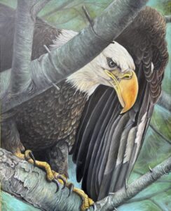 Chong Teasley - Ready to Fly