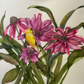 Peeking Out - Pat Hafkemeyer