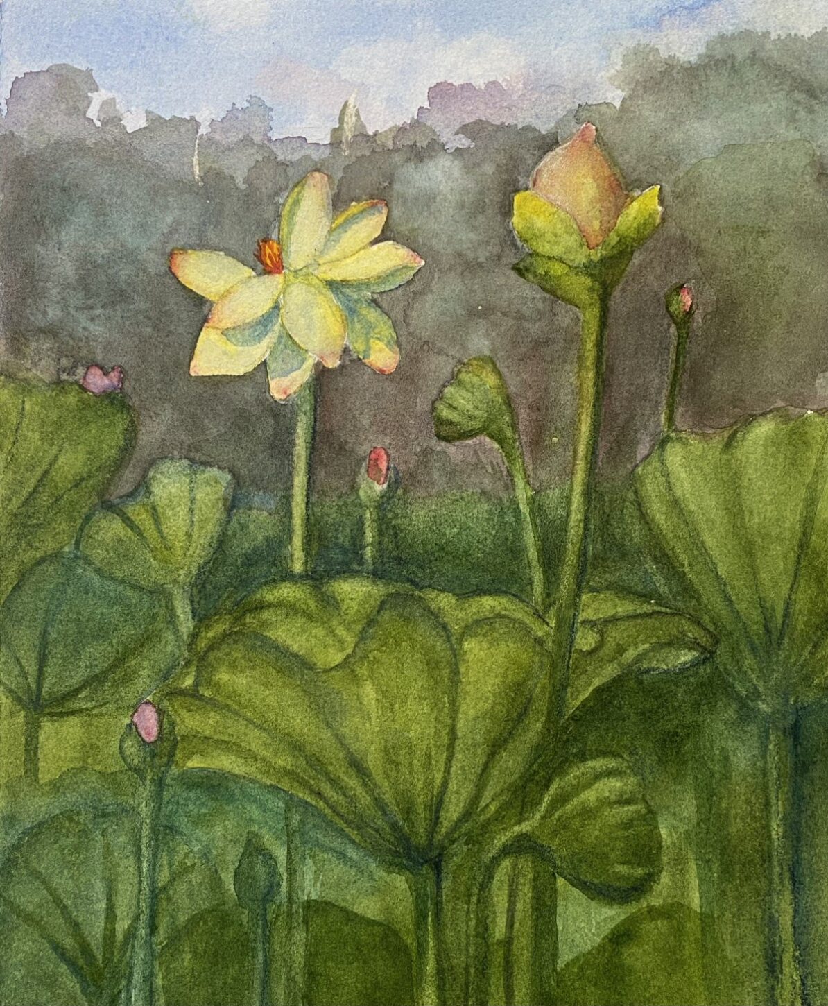 Claire Bentley - Kenilworth Gardens