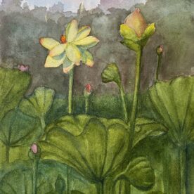 Claire Bentley - Kenilworth Gardens