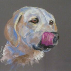 Deanna Bowling - Dog Days of August