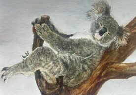 Karin Sebolka - La-Z-Boy