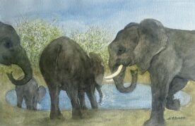 Karin Sebolka - Ladies First