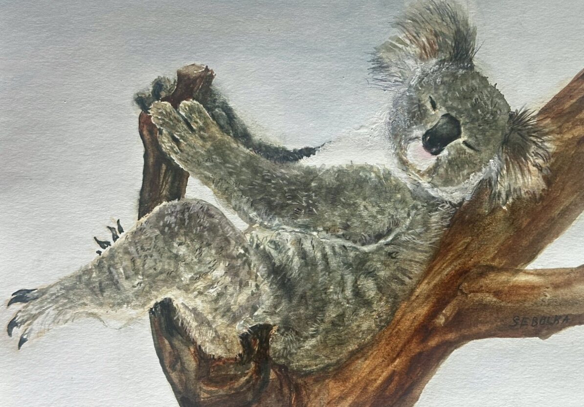 Karin Sebolka - La-Z-Boy