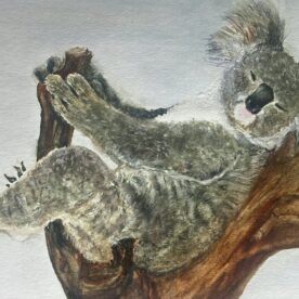 Karin Sebolka - La-Z-Boy