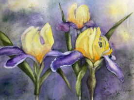 Pat Hafkemeyer - Illuminition