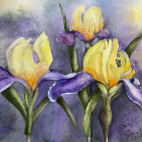 Pat Hafkemeyer - Illuminition