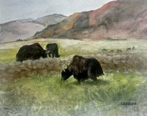 Sebolka Karin - Yakety Yak