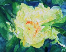 Janet Martinet - Yellow Tree Peony