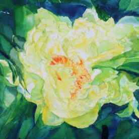 Janet Martinet - Yellow Tree Peony