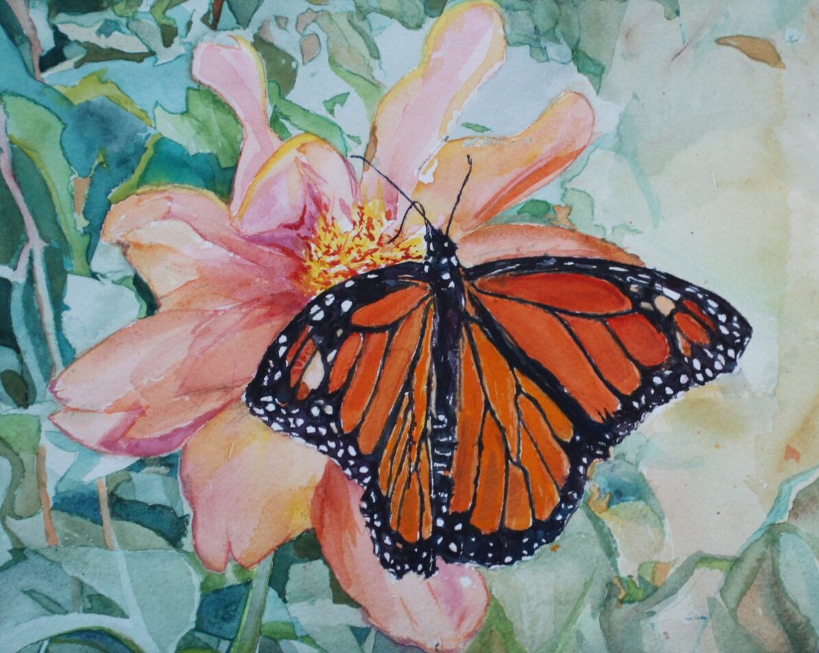 Janet Martinet.- Beware the Cat of the Hunter's Moon Monarch of the Garden III