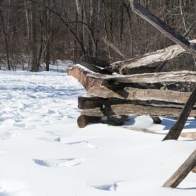 Rick Reda - March 2026