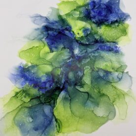 Cindy Thomas - Seahawks