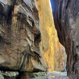 Chris Cardiff - Hiking The Narrows, Zion National Park