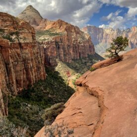 Chris Cardiff - The Sentinel, Zion National Park