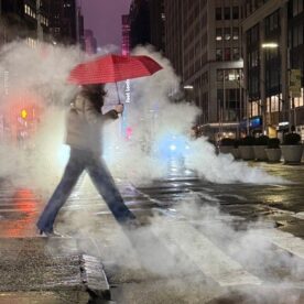 Garment District - Chris Cardiff