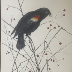 Pat Hafkemeyer - Berry Breakfast