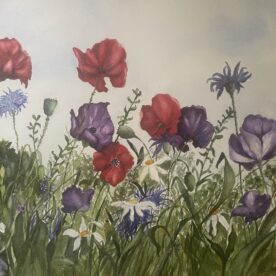 Pat Hafkemeyer - Meadow Mix