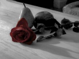 Still Life Hybrid - Rick Reda