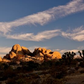 Memories of Joshua Tree National Park - Chris Cardiff
