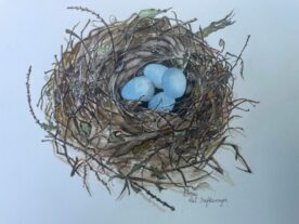Pat Hafkemeyer - Baby Blue