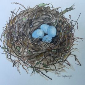 Pat Hafkemeyer - Baby Blue