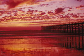 Chris Cardiff -Pacific Beach