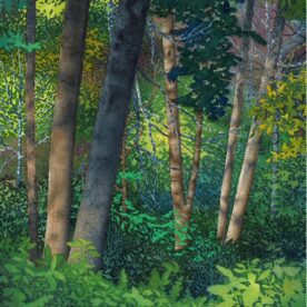 Chris Pankow - Forestscape