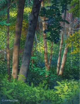 Chris Pankow - Forestscape
